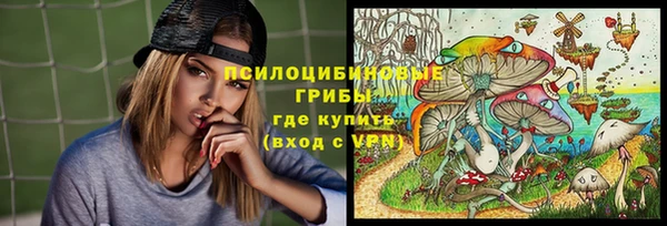 ГАЛЛЮЦИНОГЕННЫЕ ГРИБЫ Баксан