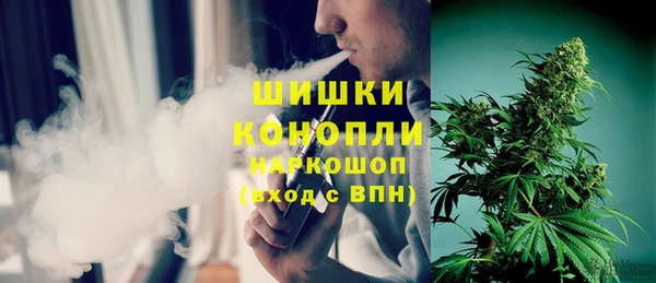 ГАЛЛЮЦИНОГЕННЫЕ ГРИБЫ Баксан