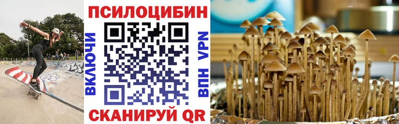 как найти закладки  блэк спрут ссылка  Псилоцибиновые грибы MAGIC MUSHROOMS  Комсомольск 